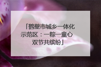 鹤壁市城乡一体化示范区：一粽一童心 双节共缤纷