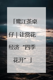 鹭江茶桌仔｜让赏花经济“四季花开”