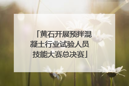 黄石开展预拌混凝土行业试验人员技能大赛总决赛