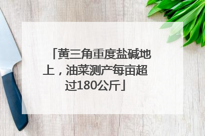 黄三角重度盐碱地上，油菜测产每亩超过180公斤
