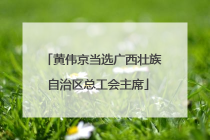 黄伟京当选广西壮族自治区总工会主席