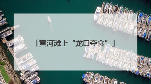 黄河滩上“龙口夺食”