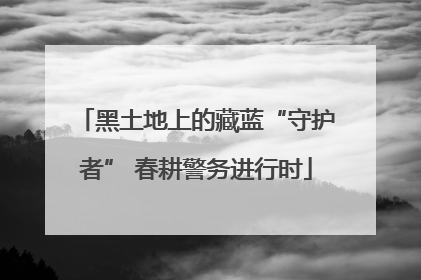 黑土地上的藏蓝“守护者” 春耕警务进行时