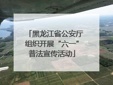 黑龙江省公安厅组织开展“六一”普法宣传活动