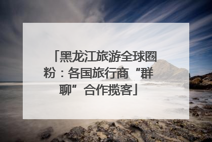 黑龙江旅游全球圈粉：各国旅行商“群聊”合作揽客