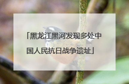 黑龙江黑河发现多处中国人民抗日战争遗址