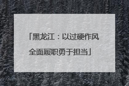 黑龙江：以过硬作风全面履职勇于担当