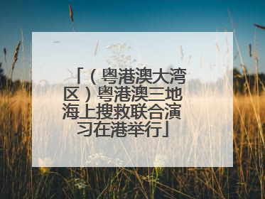 （粤港澳大湾区）粤港澳三地海上搜救联合演习在港举行