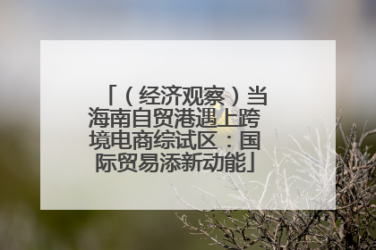 （经济观察）当海南自贸港遇上跨境电商综试区：国际贸易添新动能