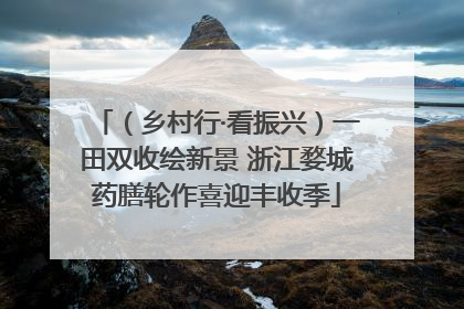 （乡村行·看振兴）一田双收绘新景 浙江婺城药膳轮作喜迎丰收季