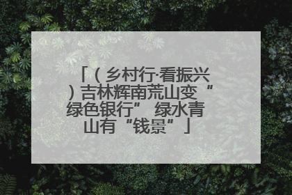 （乡村行·看振兴）吉林辉南荒山变“绿色银行” 绿水青山有“钱景”