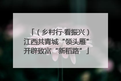 （乡村行·看振兴）江西共青城“领头雁”开辟致富“新稻路”