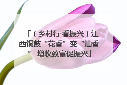 （乡村行·看振兴）江西铜鼓“花香”变“油香” 增收致富促振兴