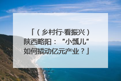 （乡村行·看振兴）陕西略阳：“小瓢儿”如何撬动亿元产业？