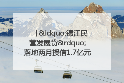 “锦江民营发展贷”落地两月授信1.7亿元，惠及118家民企