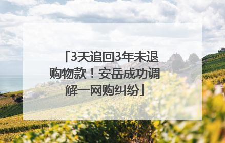 3天追回3年未退购物款！安岳成功调解一网购纠纷