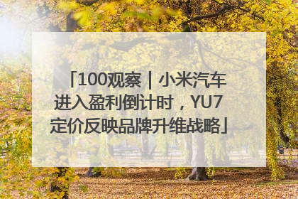 100观察｜小米汽车进入盈利倒计时，YU7定价反映品牌升维战略