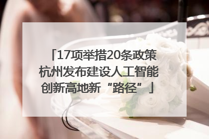 17项举措20条政策 杭州发布建设人工智能创新高地新“路径”