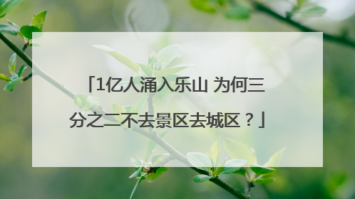 1亿人涌入乐山 为何三分之二不去景区去城区？