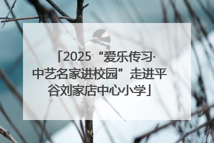 2025“爱乐传习·中艺名家进校园”走进平谷刘家店中心小学