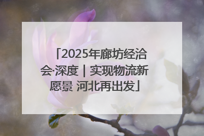 2025年廊坊经洽会·深度｜实现物流新愿景 河北再出发