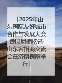 2025年山东国际友好城市合作与发展大会暨印尼楠榜省·山东省招商交流会在济南槐荫举行