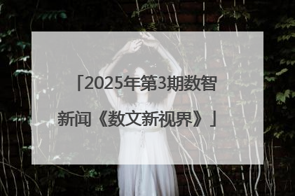 2025年第3期数智新闻《数文新视界》