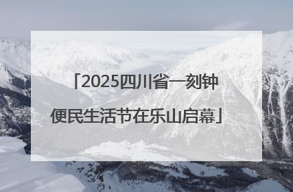 2025四川省一刻钟便民生活节在乐山启幕