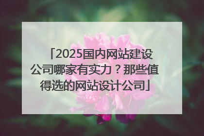 2025国内网站建设公司哪家有实力？那些值得选的网站设计公司