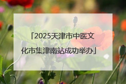 2025天津市中医文化市集津南站成功举办