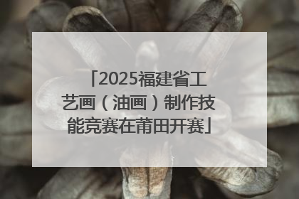 2025福建省工艺画（油画）制作技能竞赛在莆田开赛