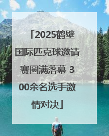 2025鹤壁国际匹克球邀请赛圆满落幕 300余名选手激情对决