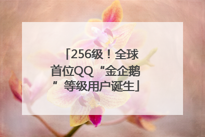 256级！全球首位QQ“金企鹅”等级用户诞生