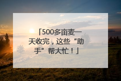 500多亩麦一天收完，这些“助手”帮大忙！