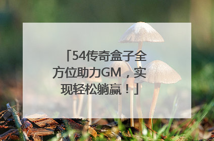 54传奇盒子全方位助力GM，实现轻松躺赢！