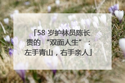 58 岁护林员陈长贵的 “双面人生”：左手青山，右手亲人