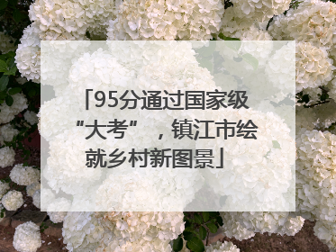 95分通过国家级“大考”，镇江市绘就乡村新图景