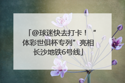 @球迷快去打卡！“体彩世俱杯专列”亮相长沙地铁6号线