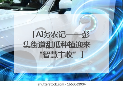 AI务农记——彭集街道甜瓜种植迎来“智慧丰收”