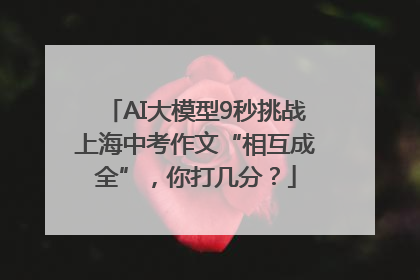 AI大模型9秒挑战上海中考作文“相互成全”，你打几分？