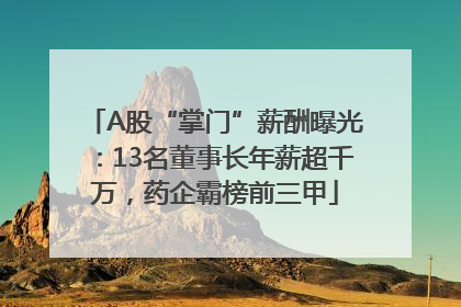 A股“掌门”薪酬曝光：13名董事长年薪超千万，药企霸榜前三甲