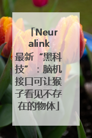 Neuralink最新“黑科技”：脑机接口可让猴子看见不存在的物体