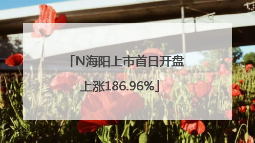N海阳上市首日开盘上涨186.96%