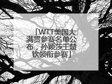 WTT美国大满贯参赛名单公布，孙颖莎王楚钦领衔参赛